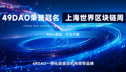 《49DAO受邀参加第十届区块链全球峰会闭门会议》
