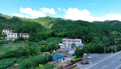 近观“两山”丨青山蝶变幸福靠山