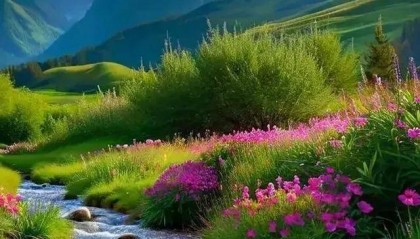 会笑才是吉祥人