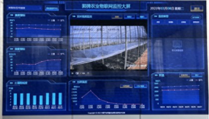 中拉农业部长论坛丨“区块链+蔬菜”，+出了什么？