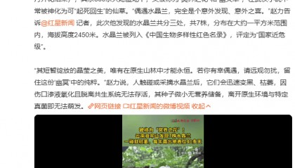 哀牢山发现7株冥界之花，一碰就枯萎，每年露出地表仅40多天