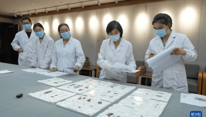 结束漂泊79年 子弹库战国帛书正式入藏湖南省博物馆