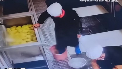 新余一学校食堂员工脚踩食材？官方通报：属实，涉事人员被辞退，校长及总务处主任免职