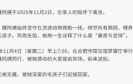 合肥卖房救助流浪狗的魏阿姨离世，病中仍然惦记着基地的600只流浪狗，工人：不敢相信世上还有这样执着的人
