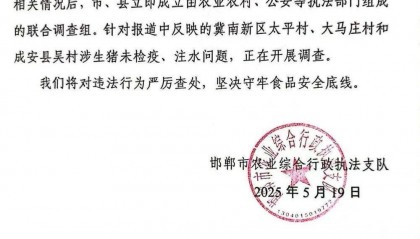 河北邯郸通报被曝涉生猪未检疫、注水问题：正在开展调查