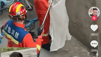 无锡市中心发现毒蛇？消防出动！医生紧急提醒！