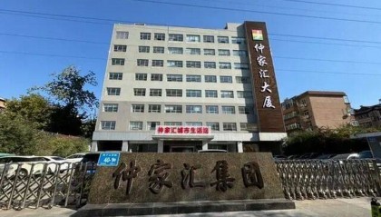 仲家汇“蛇吞象”入驻济南，疑似资金紧张质押变卖子公司股权