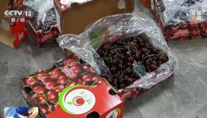 一个月内车厘子批发价腰斩 商家们却并没有更赚钱