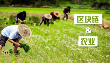 区块链为农业带来哪些机遇？