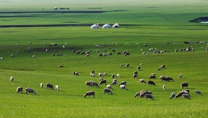 内蒙古进入经济增长第一方阵，如何做到的？