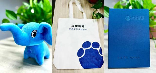 安徽游客称在徐州一博物馆内发现本村17年前丢失的石狮，两地官方最新回应