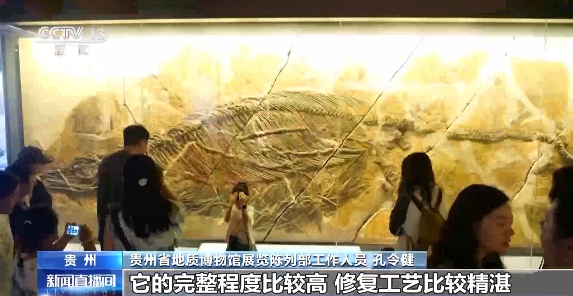 文化中国行丨暑期“文博热” 各地博物馆推出多元体验新玩法