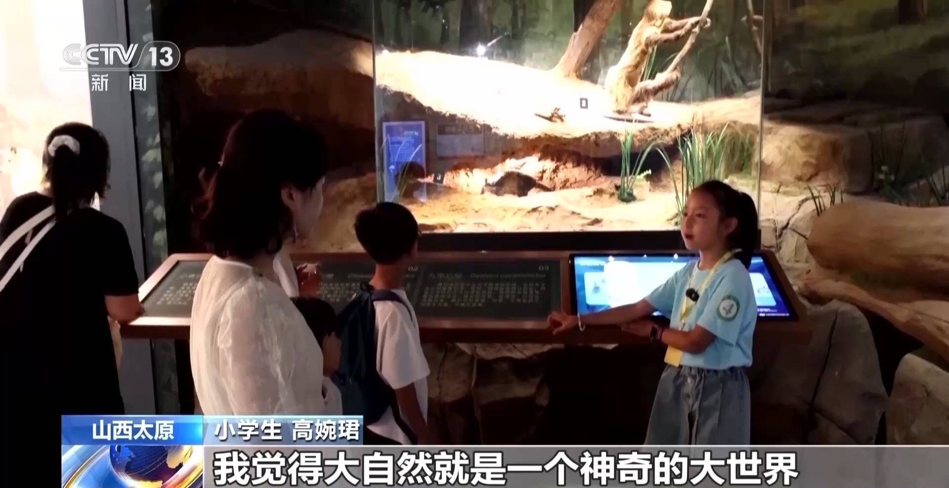 文化中国行丨暑期“文博热” 各地博物馆推出多元体验新玩法