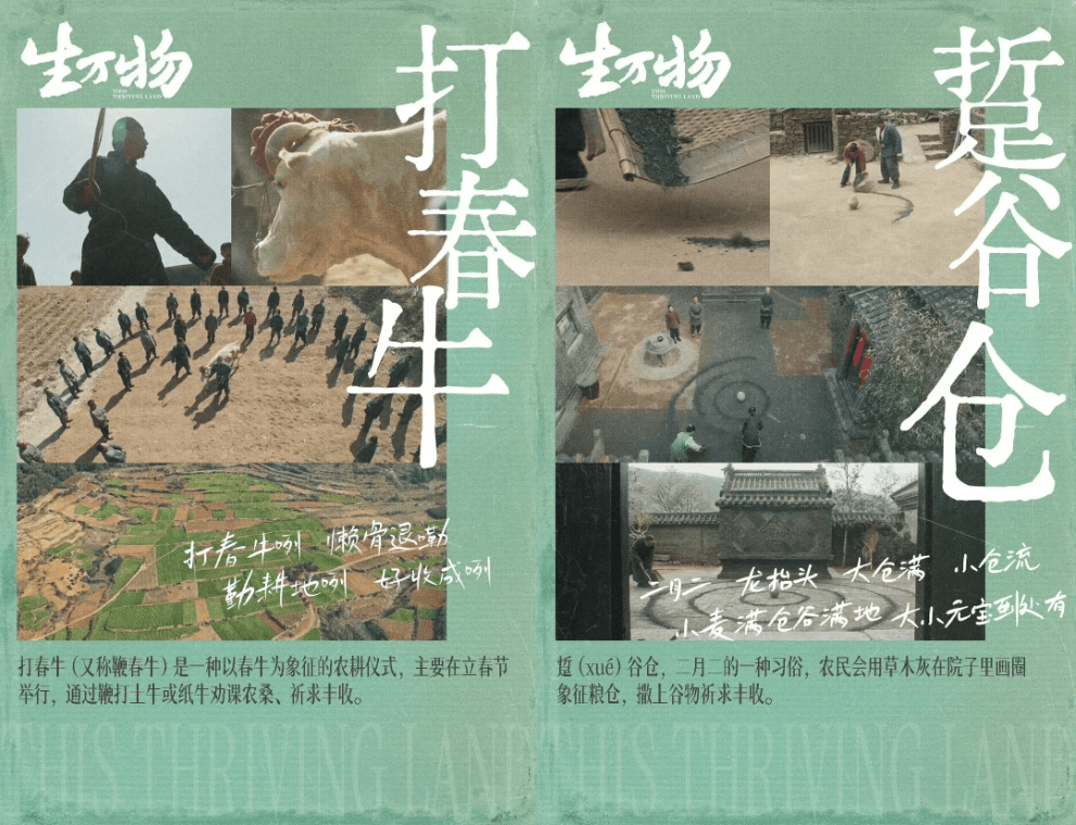 杨幂土得掉渣，山东第一城这下要火了