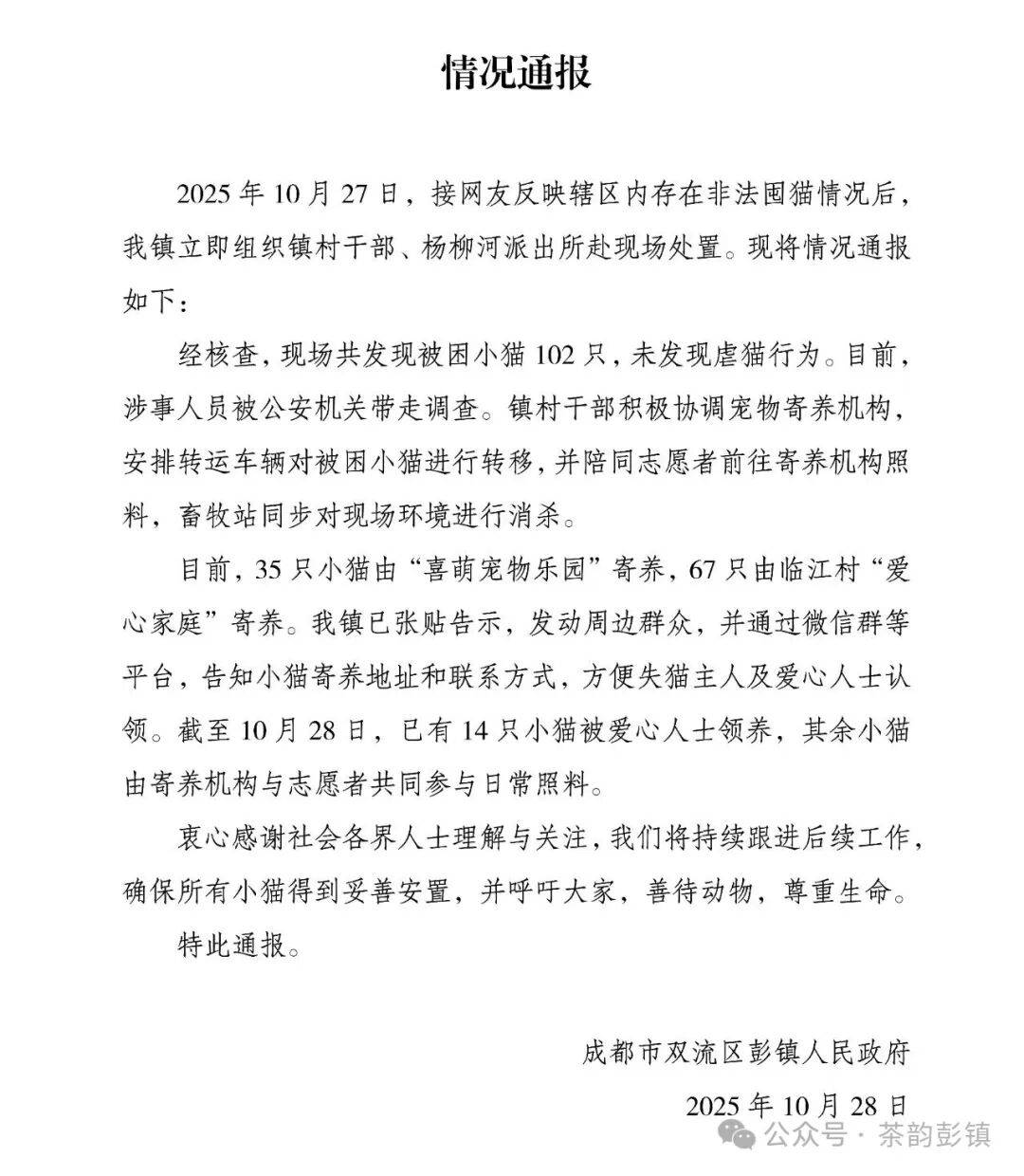 成都一空置房被曝上百只猫被关在铁笼，官方通报：未发现虐猫行为，被困小猫已安全转移，涉事人员被公安机关带走调查