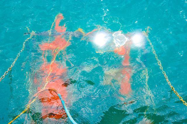 让海洋观测迈向“连续感知”!深圳先进院多项海洋科技成果亮相大鹏湾