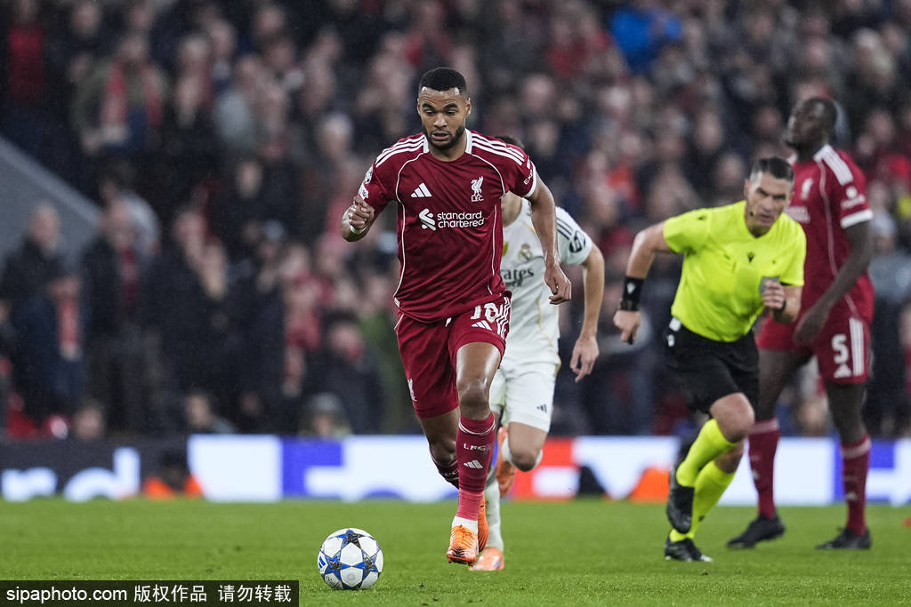 欧冠-麦卡利斯特一击致命 利物浦1-0送皇马赛季第2败