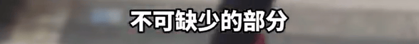养了四年的宠物鸭被汽车碾死,老太太当街包鸭痛哭,目击者:她老伴重病,鸭子是用来祈福的