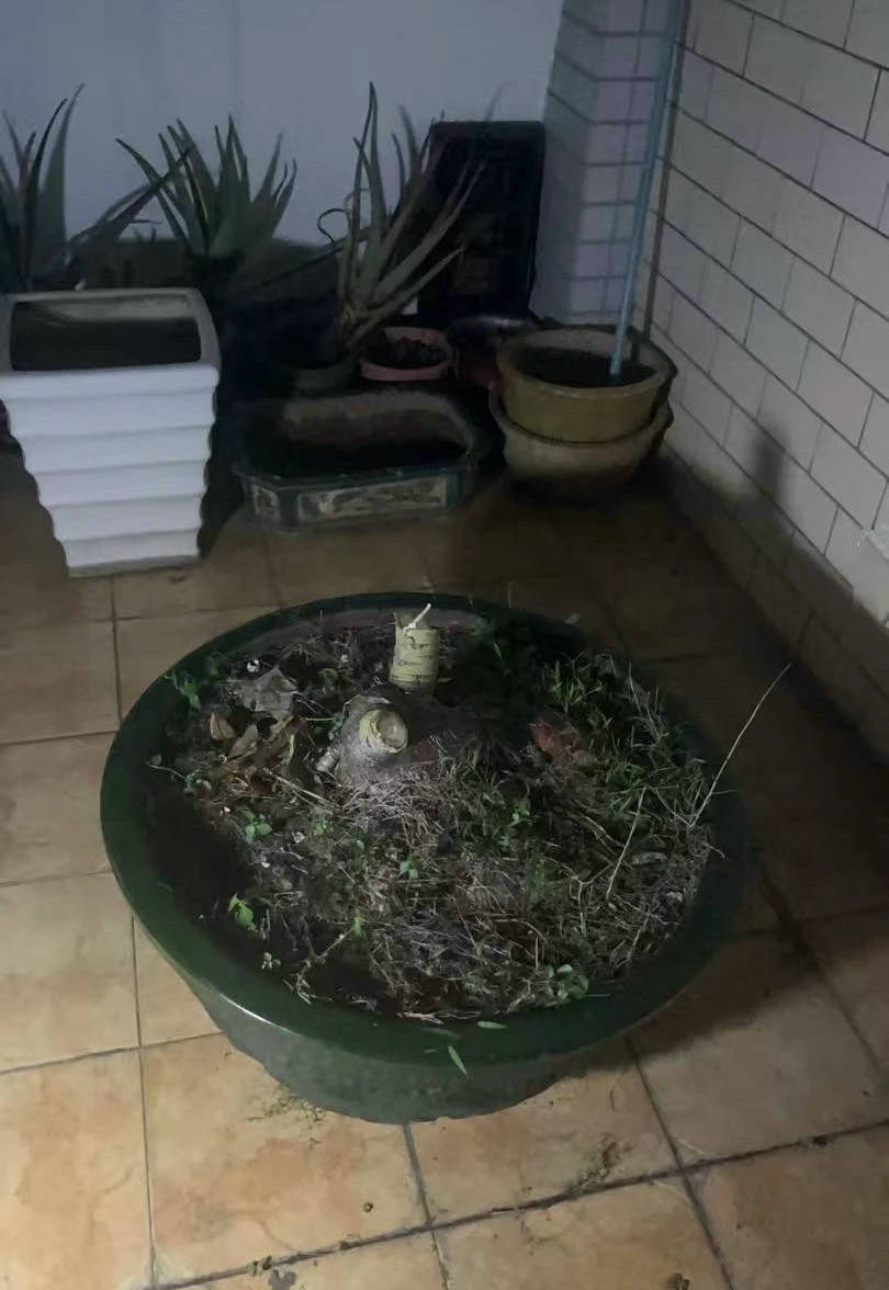 连续灭蚊70多天 有基层员工在网上诉苦