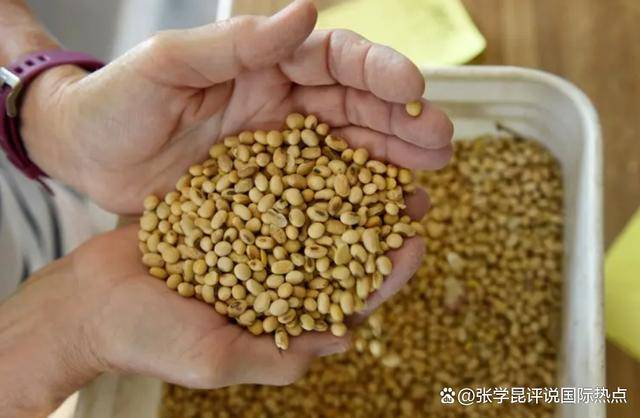 48小时内,中方连下3令,特朗普别高兴太早,承诺一个都不能少