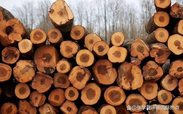 48小时内,中方连下3令,特朗普别高兴太早,承诺一个都不能少